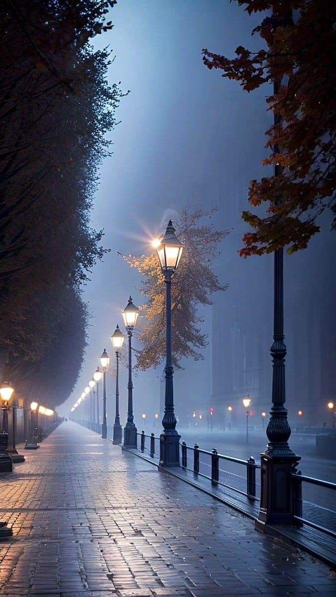 بررسی جامع انواع چراغ‌های خیابانی