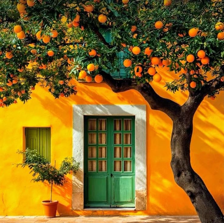 نقاشی درب و پنجره؛ چرا و چگونه؟