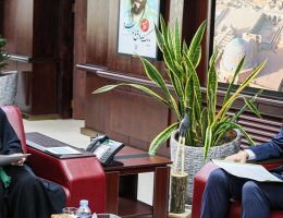 تنوع‌بخشی به سبد مسکن و مسکن استیجاری در اولویت است